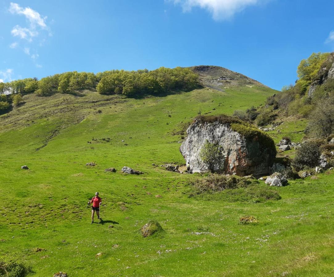 L'Argalyde Esprit Pyrenees Wellness & Cycling Lägenhet Ayzac-Ost Exteriör bild